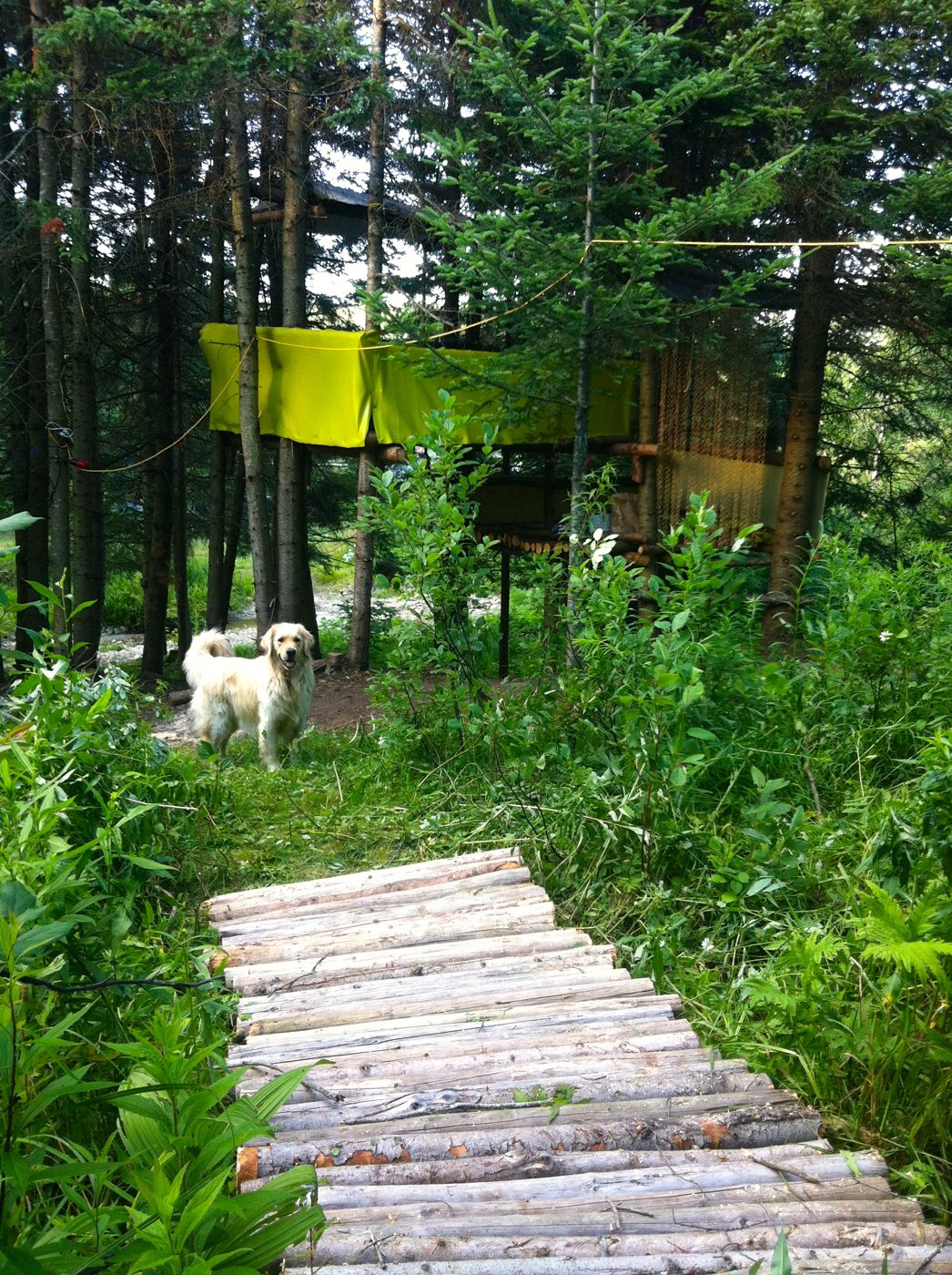 La cabane aux drapeaux jaunes, sur le sentier.