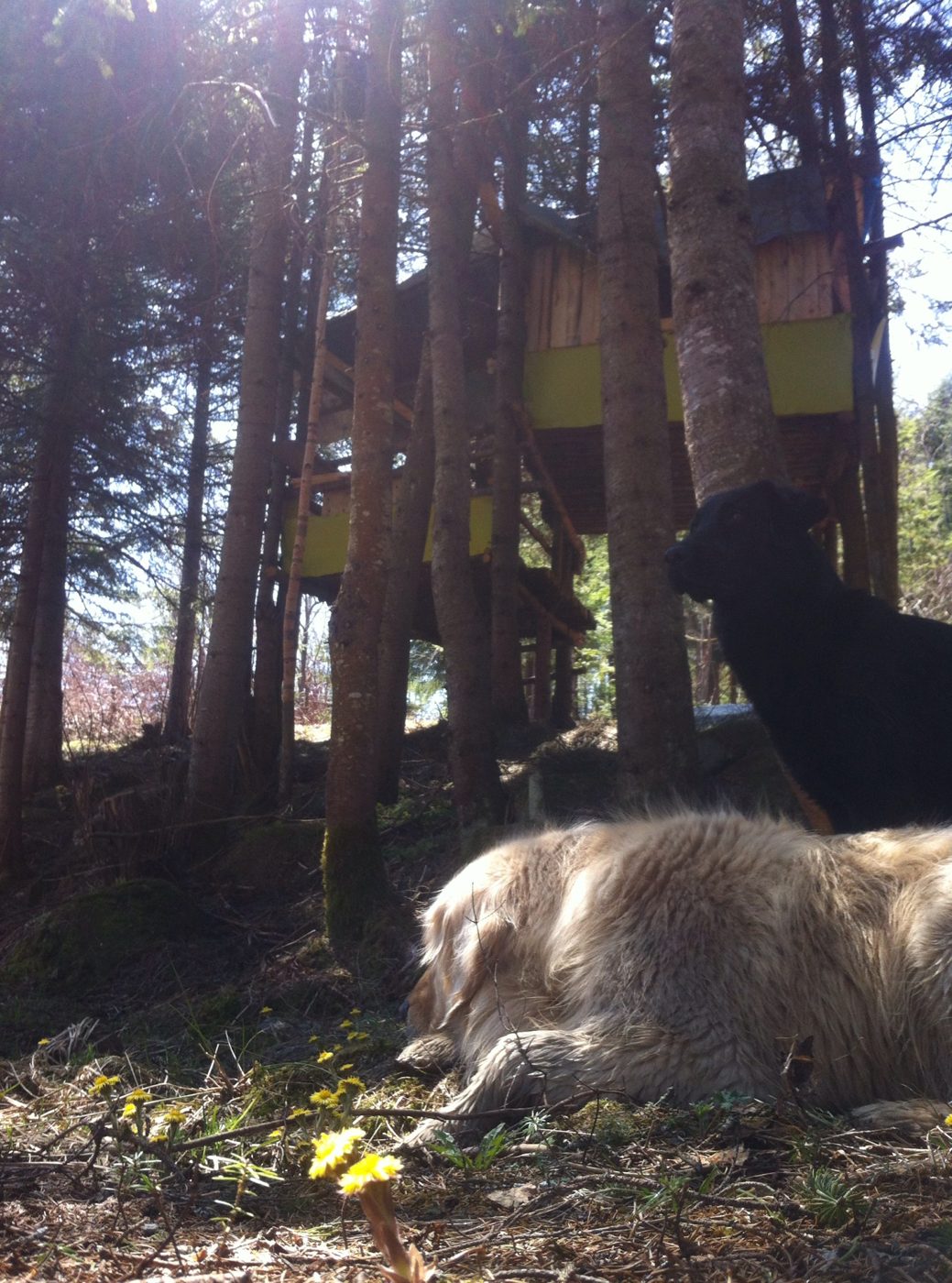 La Riveraine, de jour, avec Benji, le chien de Christian et son meilleur camarade.