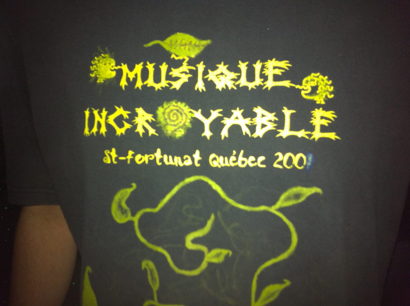 Le chandail du FIMI, le Festival de musique incroyable, Saint-Fortunat, 2001. Photographié le 1er janvier 2011.