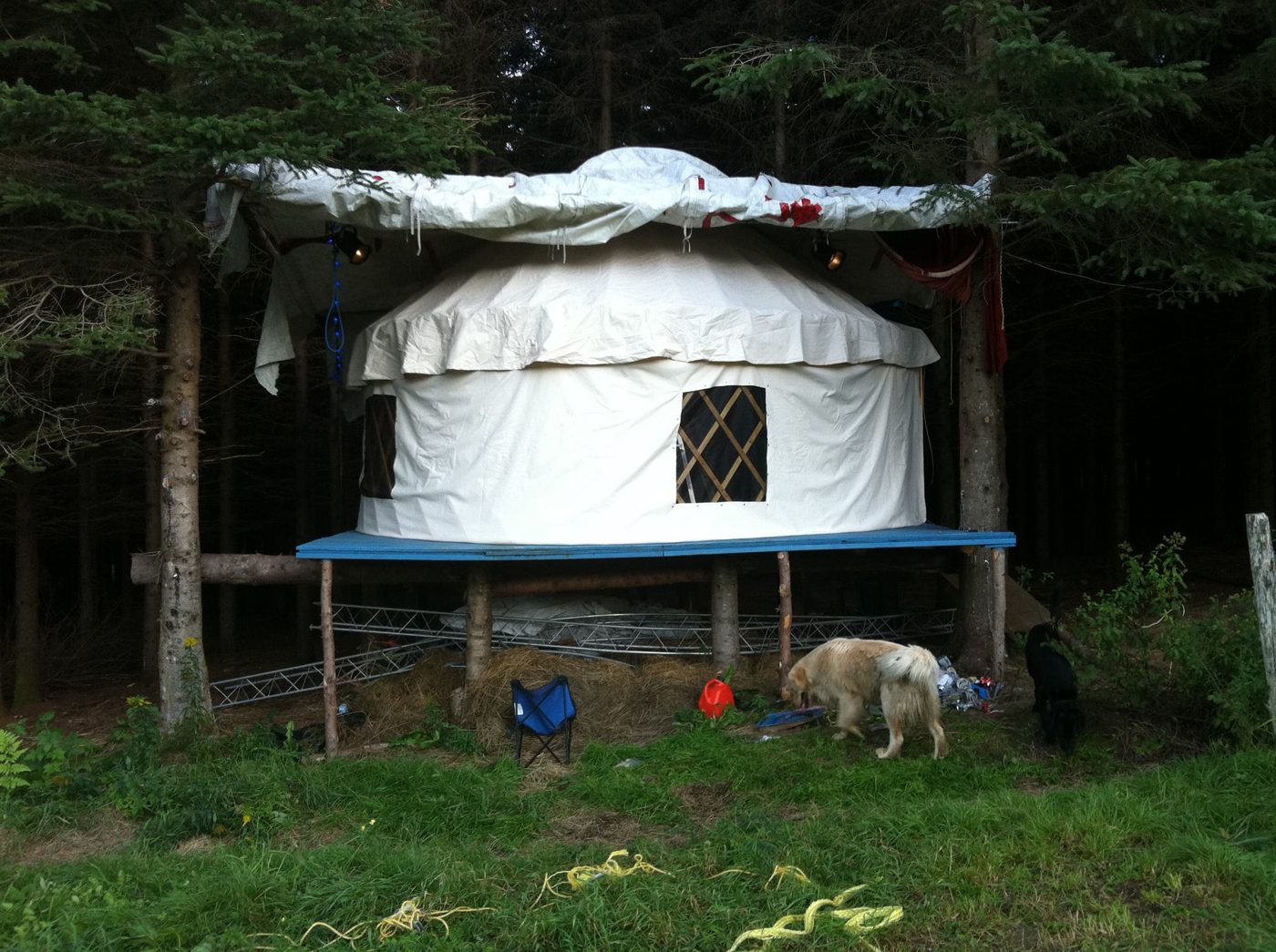 La yourte et son chien de garde.