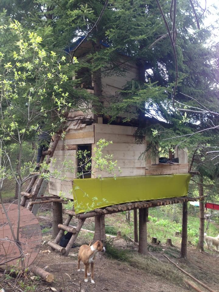 L'Ascension, cabane dans les arbres, « avec vue imprenable sur le tipi, le ruisseau et le Cherry Island », 2013.