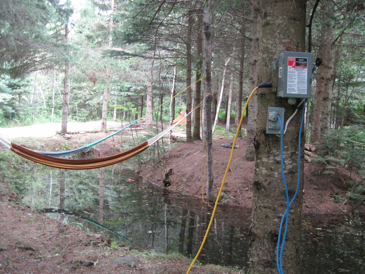 4 juillet 2010 : le premier hamac au-dessus de l'étang, au Cherry Island, et une boîte électrique sur un arbre.