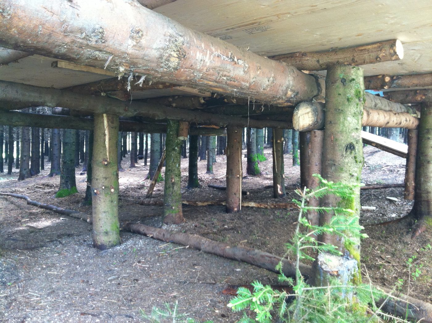 La charpente en bois rond de la scène couverte, 2011.