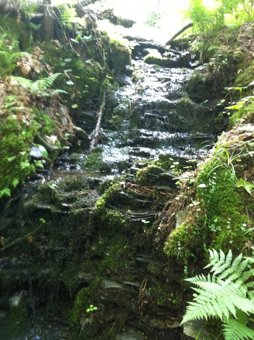 La cascade du ruisseau.