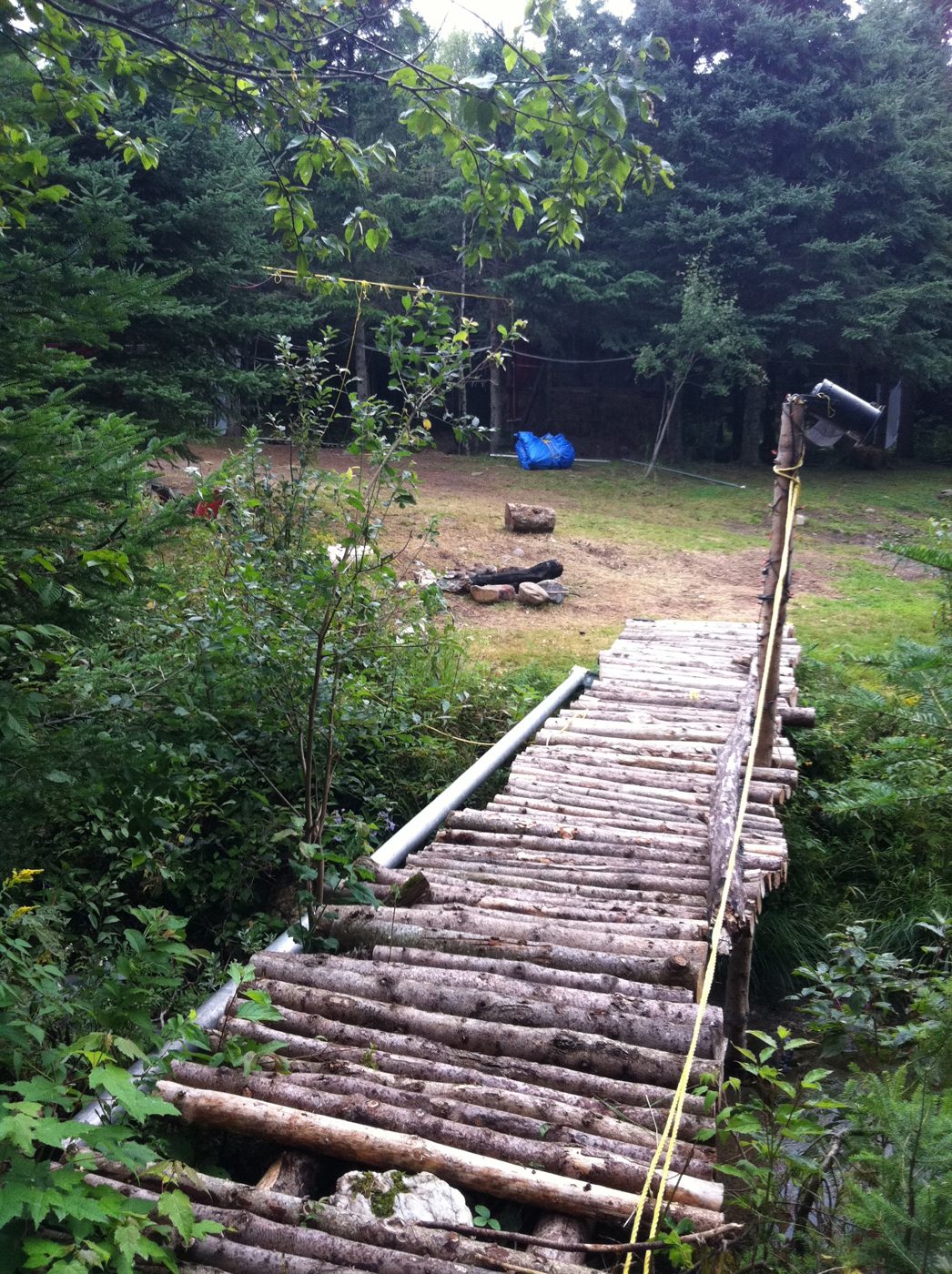 Une passerelle de bois rond entre les épinettes.