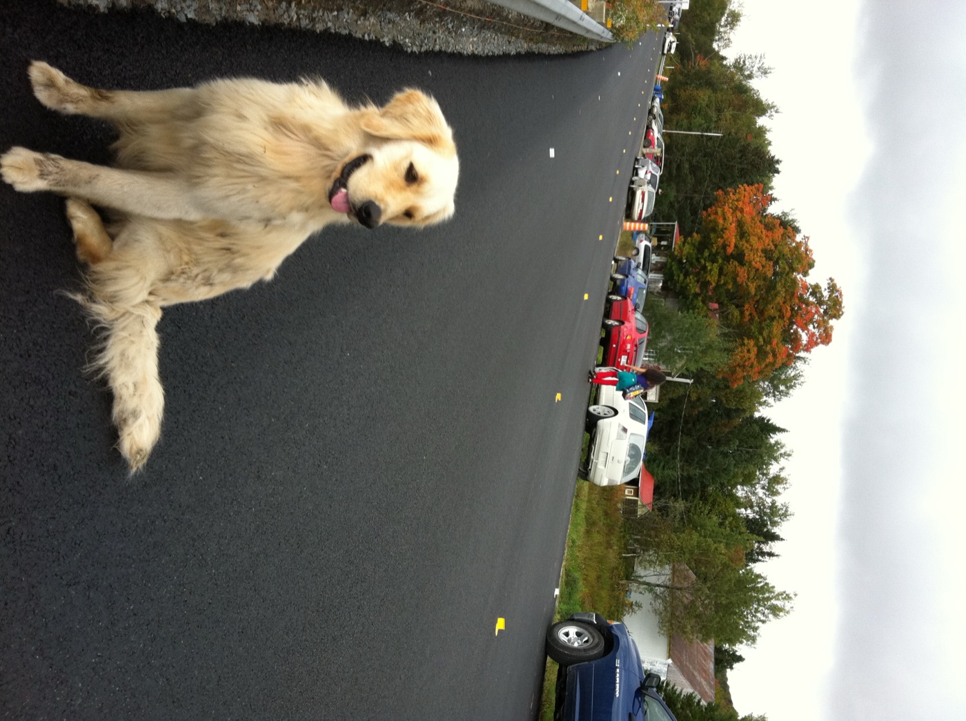 24 septembre 2011 : Benji sur la route, pendant Earthdance.