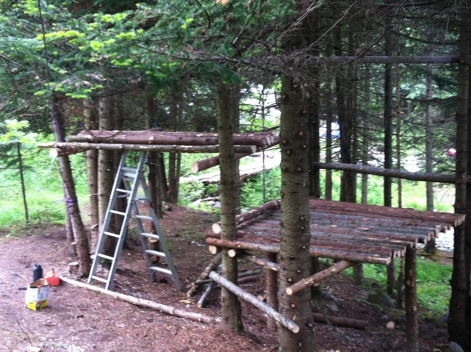 5 juin 2012 : une plateforme en rondins prend forme dans les épinettes.