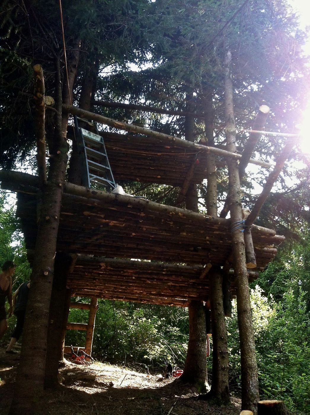 12 juillet 2012 : l'Ascension Treehouse, en construction.