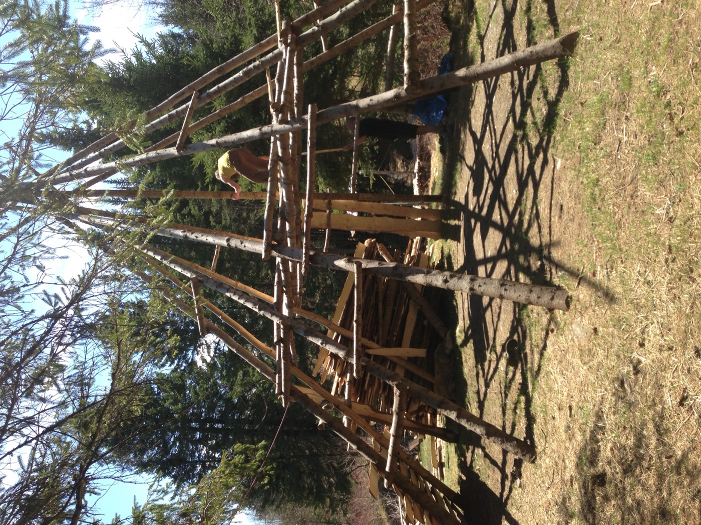 5 mai 2013 : la charpente du tipi, juste avant de le couvrir.
