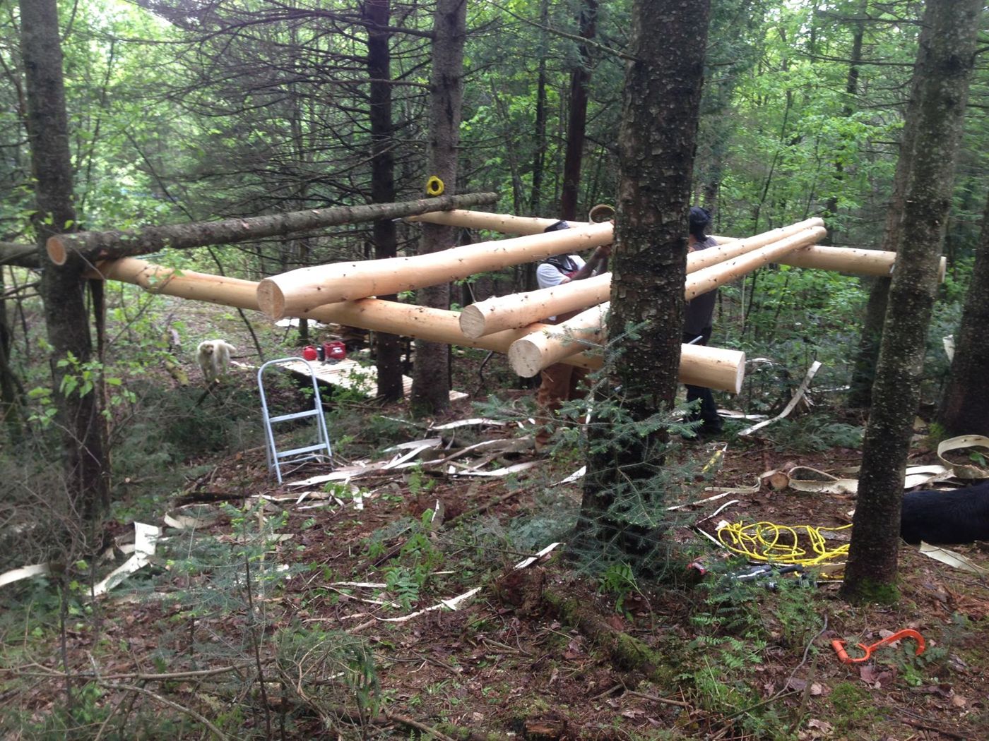 30 mai 2013 : le CubeHouse, les premières poutres dans les arbres.