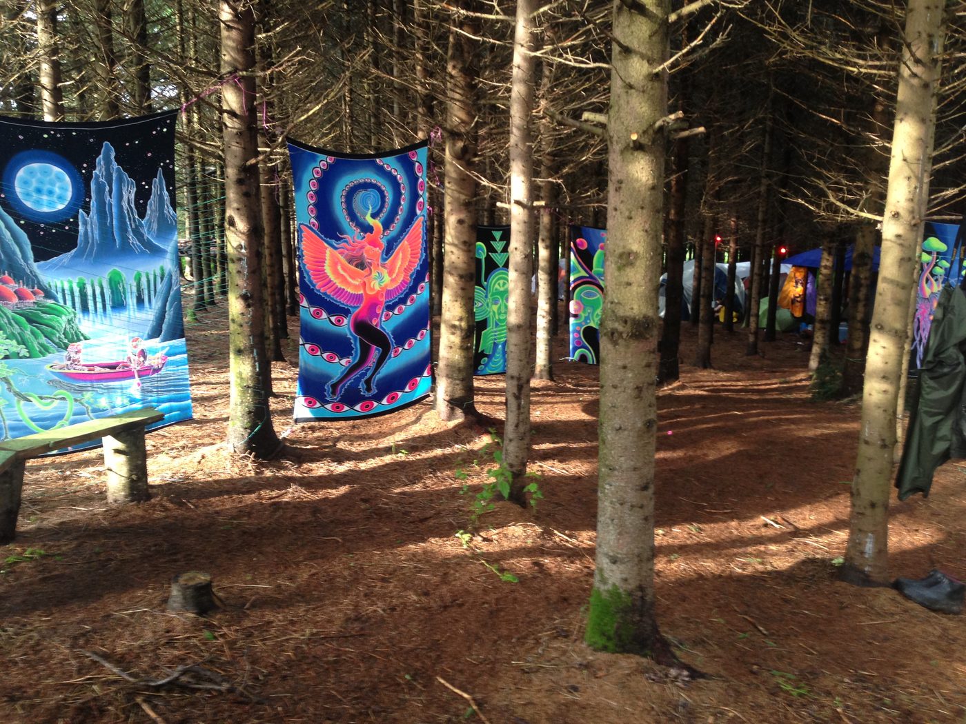 29 juin 2013 : Tatanka, les toiles fluo dans la forêt.