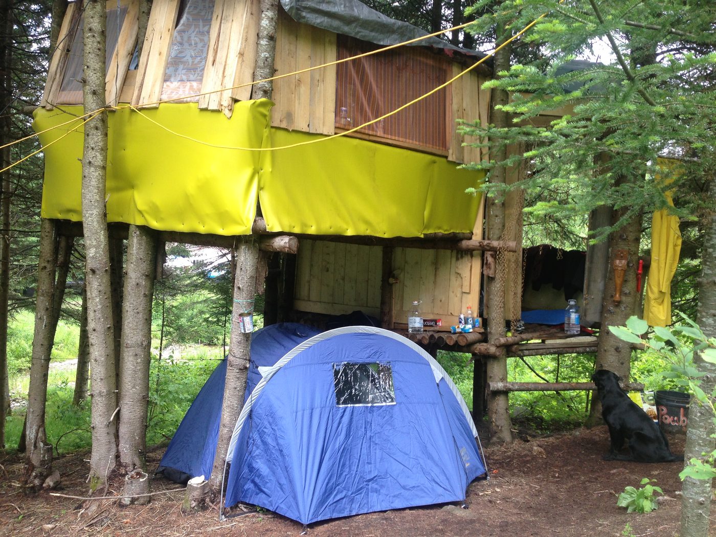 29 juin 2013 : une treehouse, une tente, un chien. Trop chill.