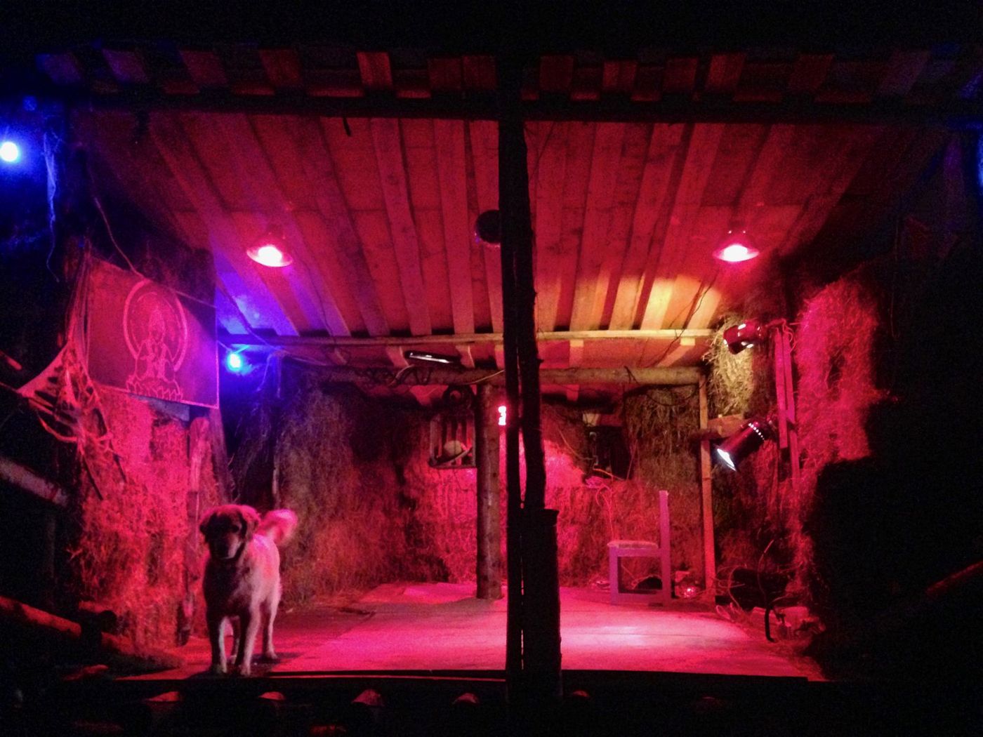 18 septembre 2014 : la veille d'Earthdance, la scène du bunker en rouge.