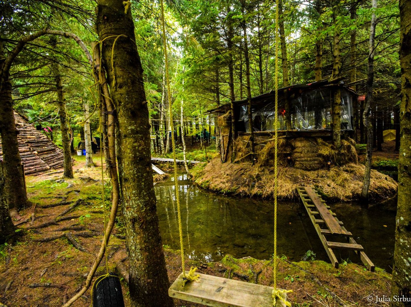 20 septembre 2014 : le Cherry Island et son étang. Photo Julia Sirbu.