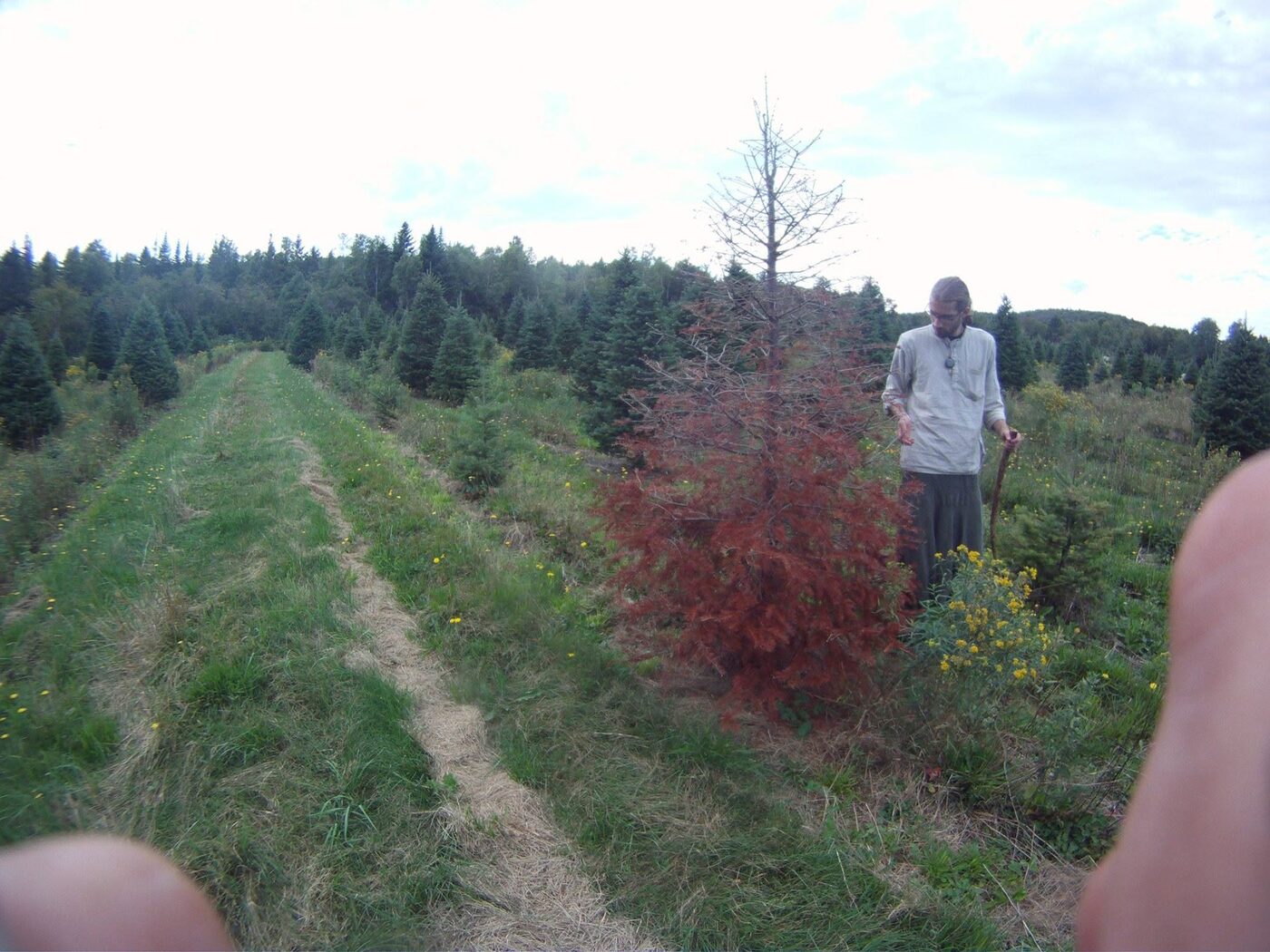 Le sentier dans les champs, en haut de la terre.