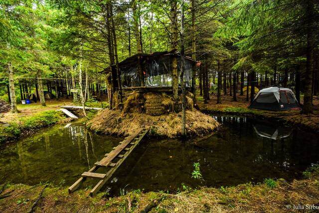 Earthdance 2014, le dernier festival, 20 septembre 2014
